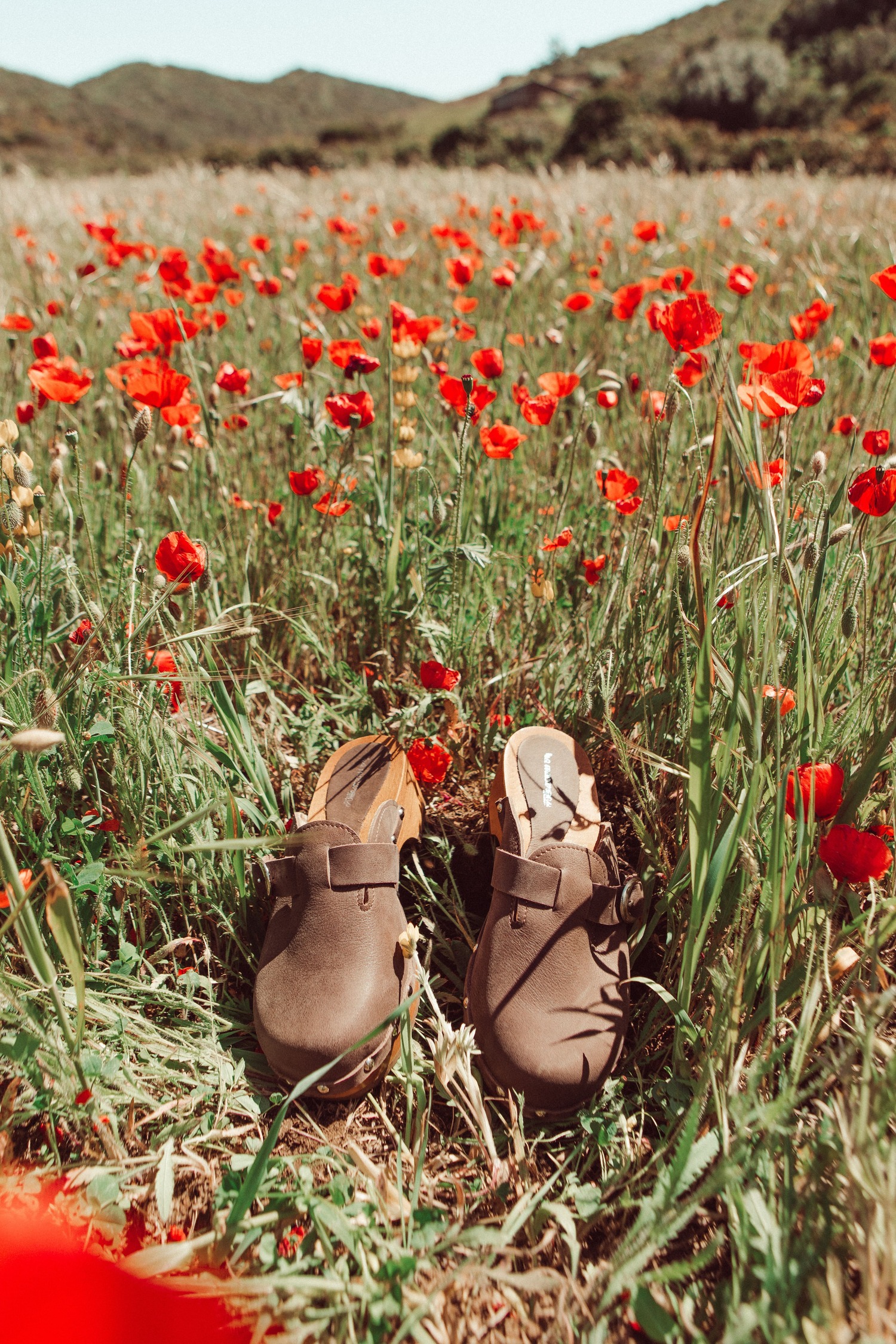 Clogs Odile chocolat